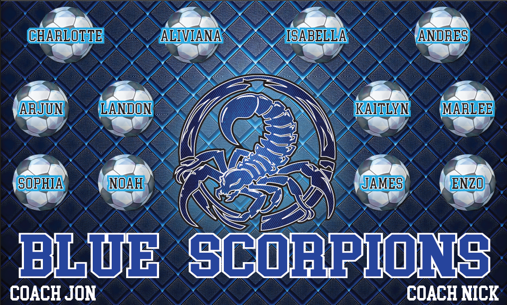 Team Banners